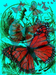 advice from a caterpillar